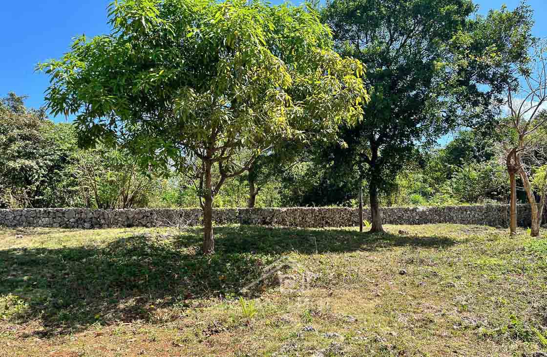 Beachfront Lot Steps from a Famous Tourist Hotspot-las-galeras-ocean-edge-real-estate (11)