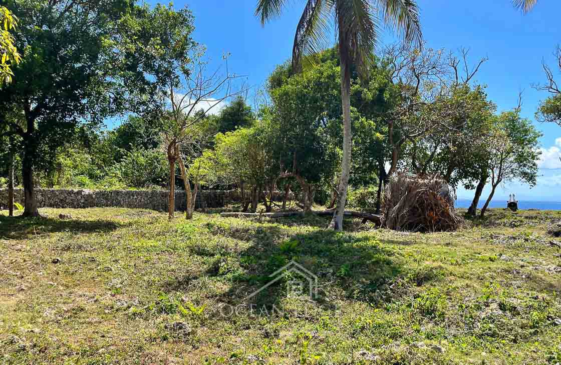 Beachfront Lot Steps from a Famous Tourist Hotspot-las-galeras-ocean-edge-real-estate (12)