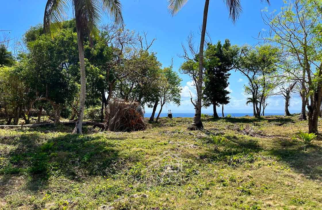 Beachfront Lot Steps from a Famous Tourist Hotspot-las-galeras-ocean-edge-real-estate (13)