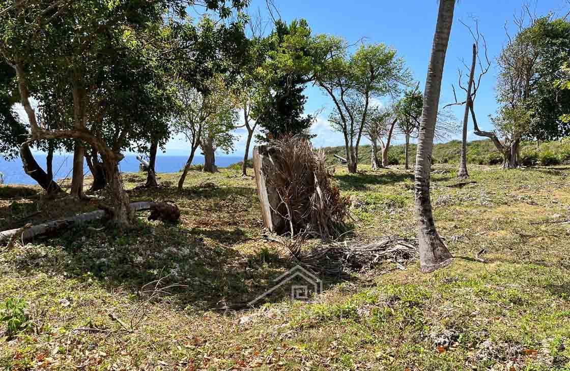 Beachfront Lot Steps from a Famous Tourist Hotspot-las-galeras-ocean-edge-real-estate (14)
