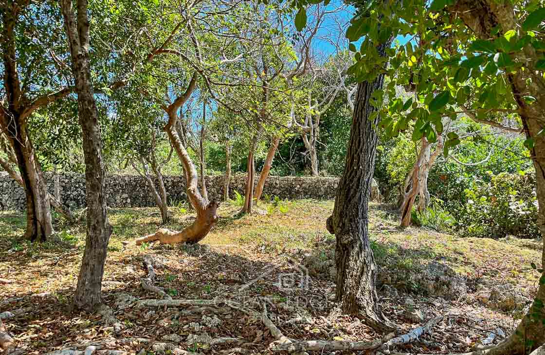 Beachfront Lot Steps from a Famous Tourist Hotspot-las-galeras-ocean-edge-real-estate (16)